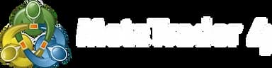 MetaTrader 4 logo